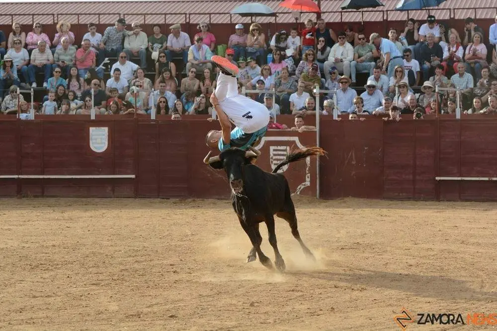 cortes zamora y villalpando