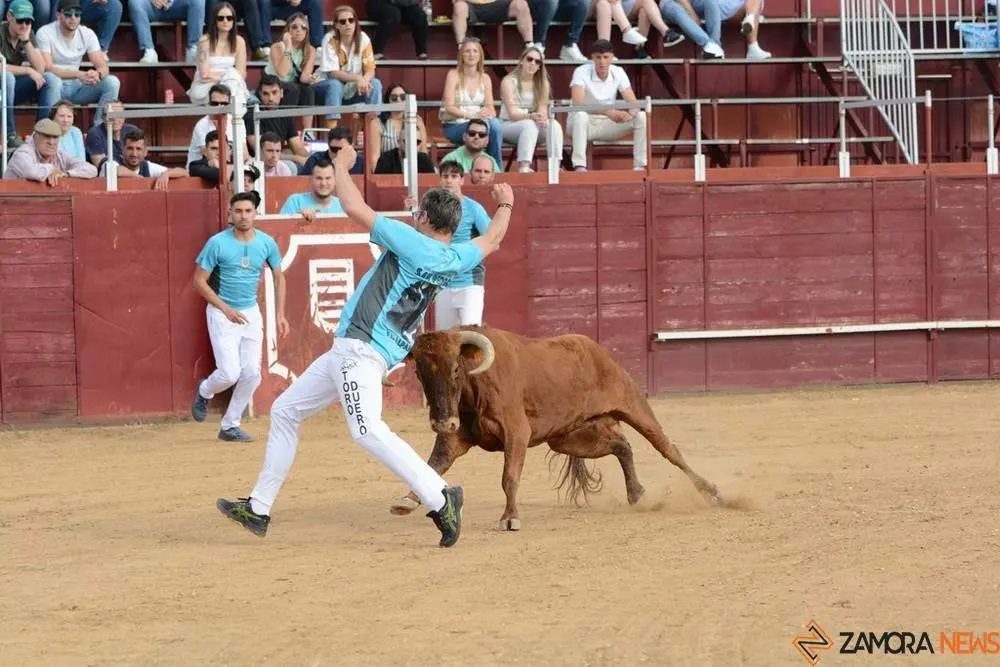 cortes zamora y villalpando _4