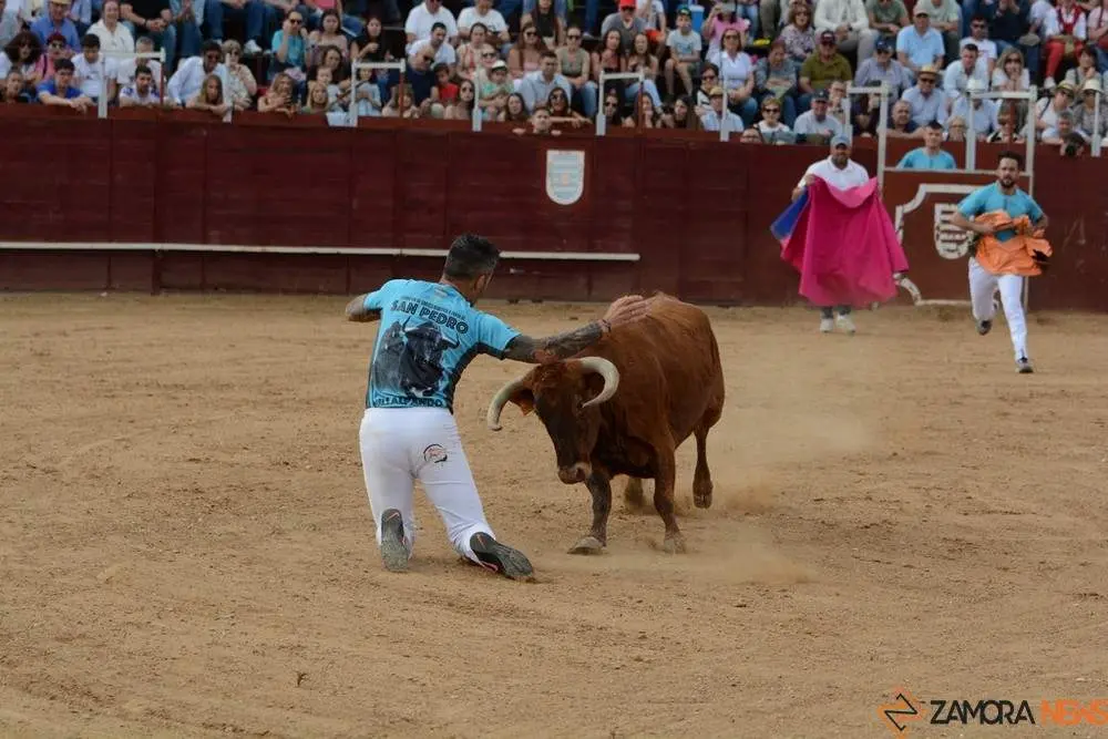 cortes zamora y villalpando _7