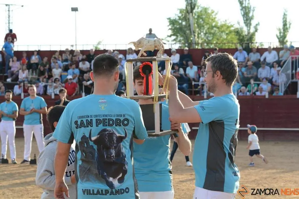 cortes zamora y villalpando _8