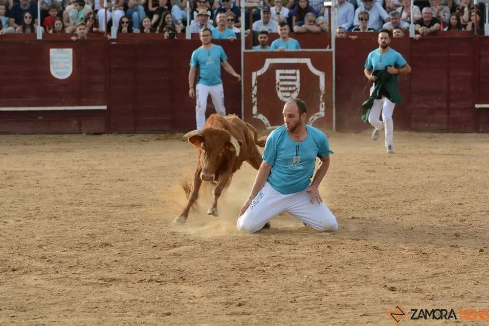 cortes zamora y villalpando _12
