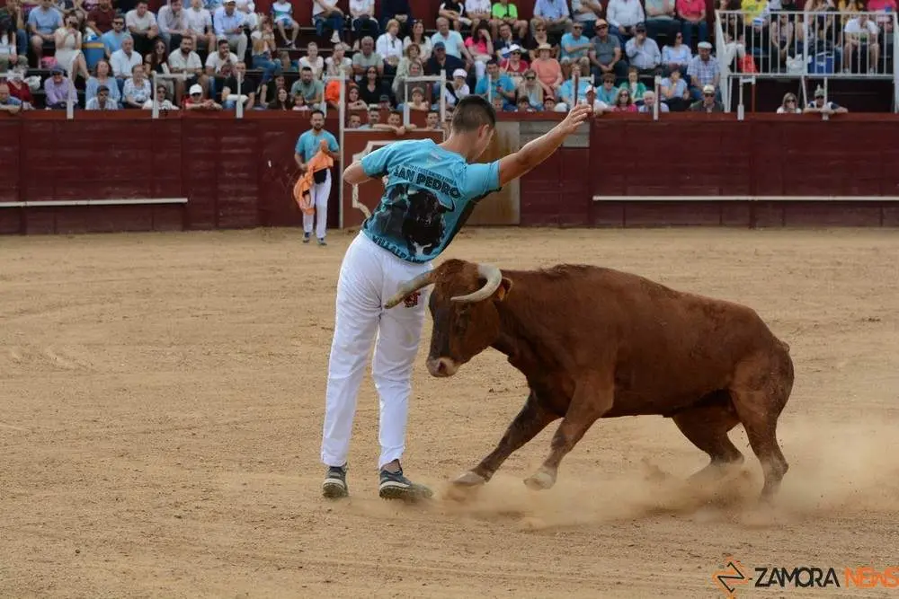 cortes zamora y villalpando _13