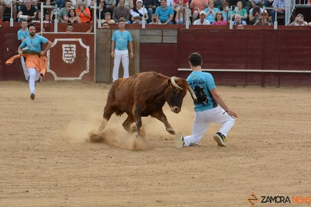 cortes zamora y villalpando _14