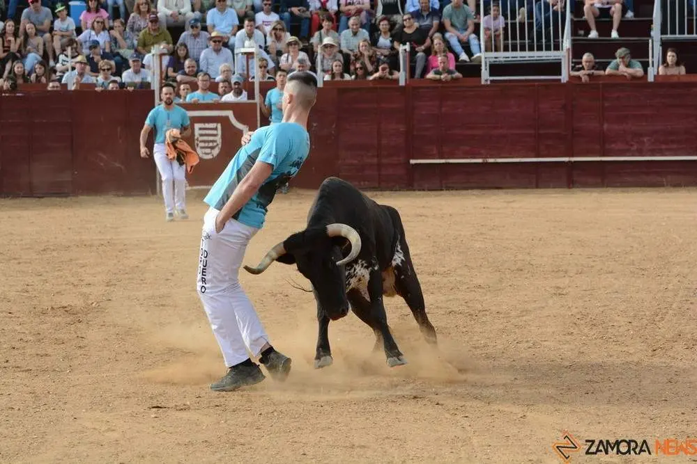 cortes zamora y villalpando _15