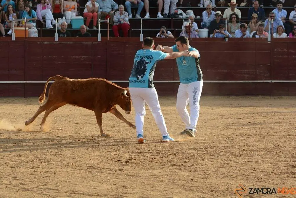 cortes zamora y villalpando _16