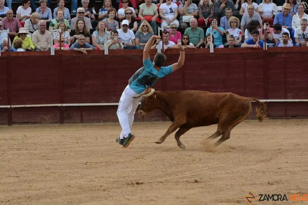 cortes zamora y villalpando _24
