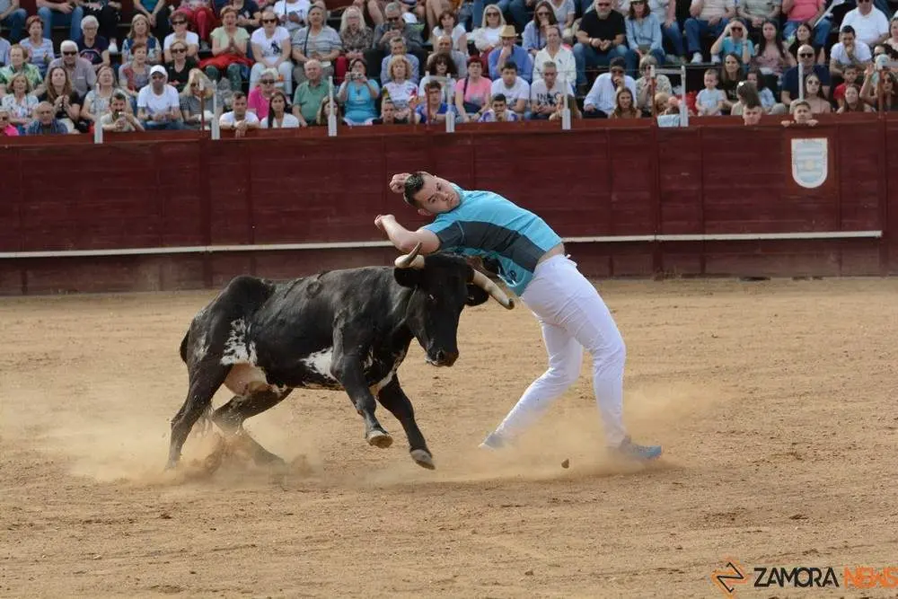 cortes zamora y villalpando _25