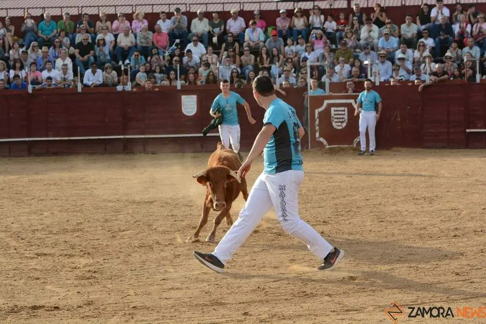 cortes zamora y villalpando _27