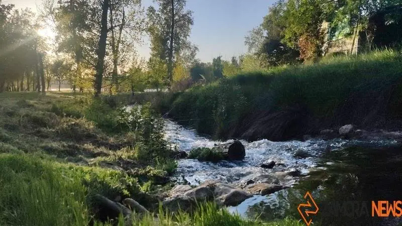 zamora rio