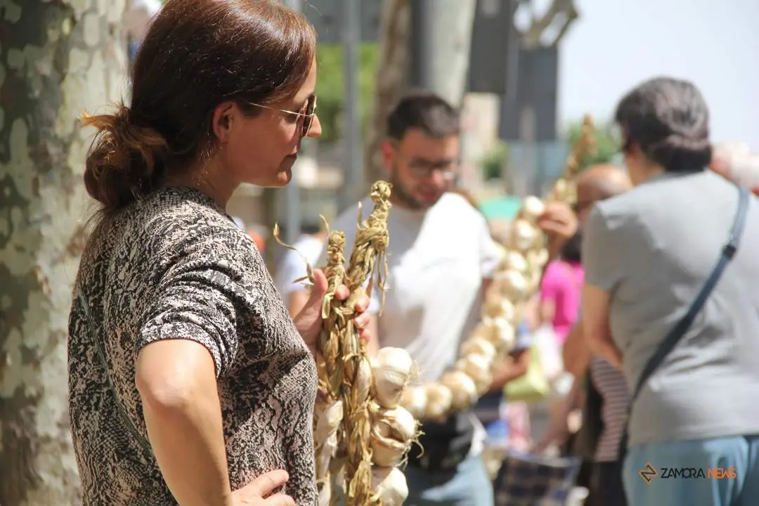 Feria del ajo 2024_45