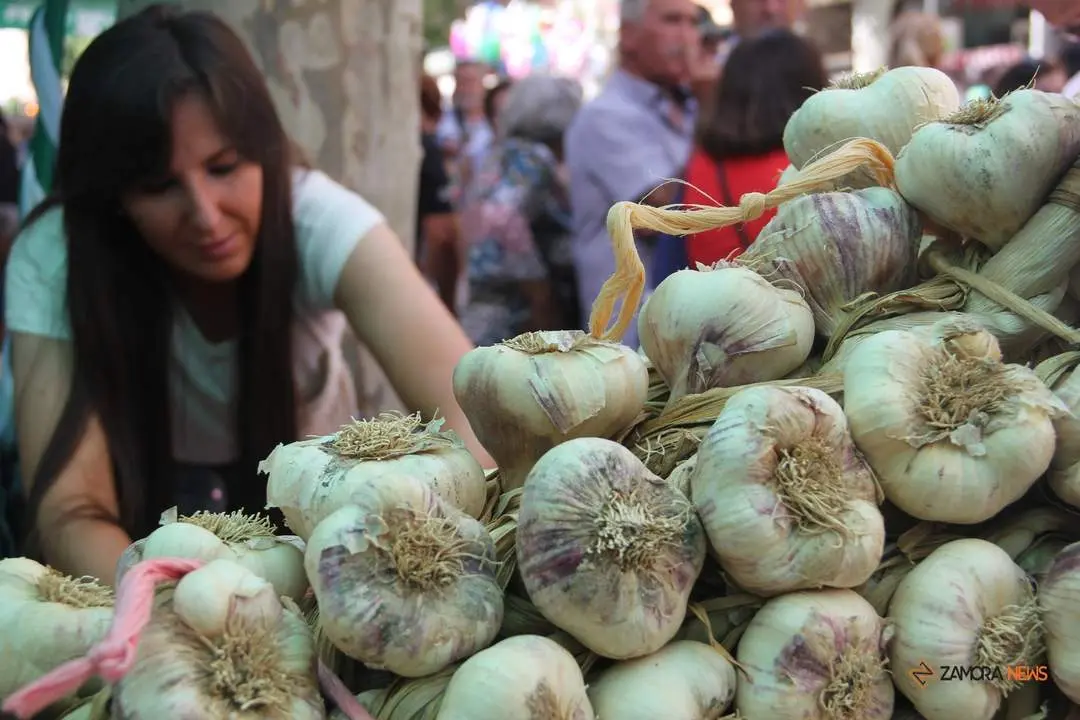 Feria del ajo 2024_23