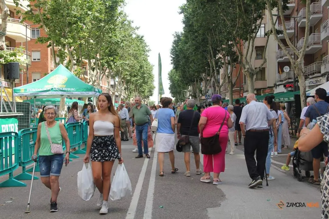 Feria del ajo 2024_59
