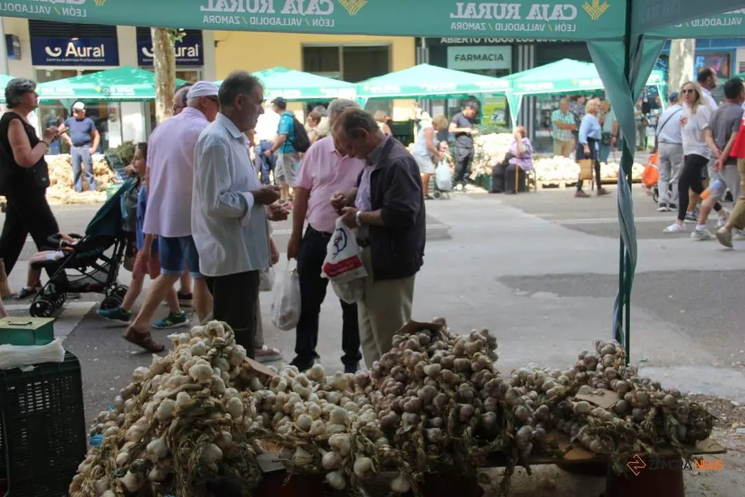 Feria del ajo 2024_65