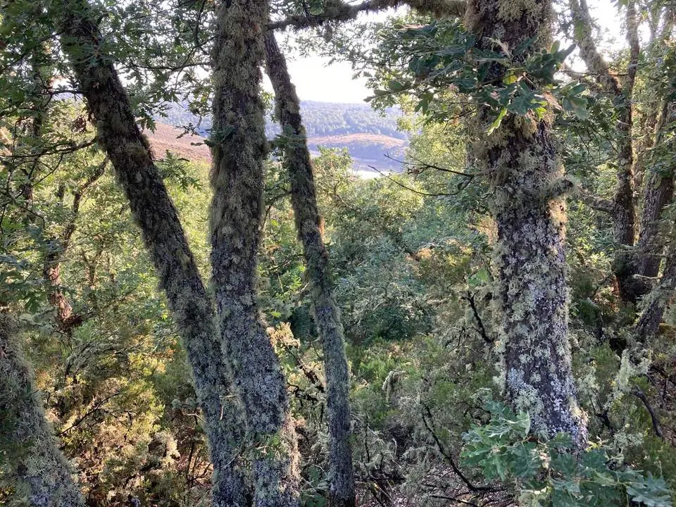 5-VISTAS DESDE LA 62