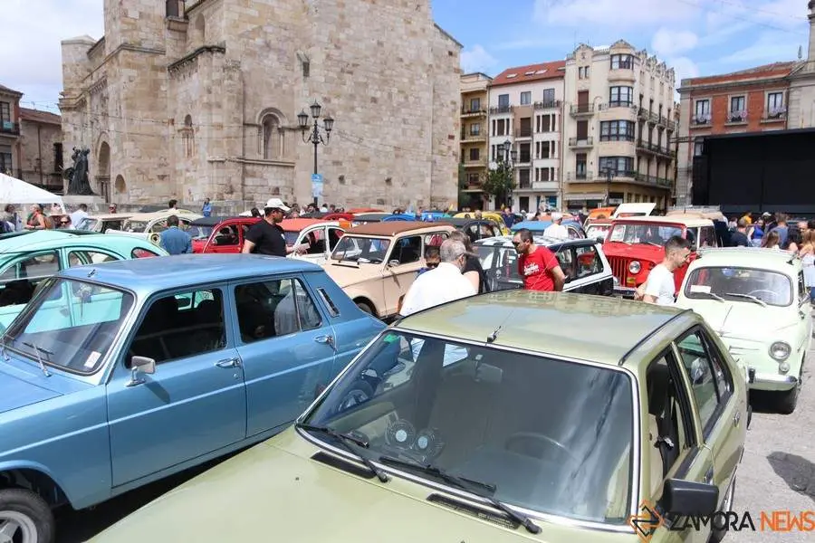 concentración internacional Citroen 2cv y clásicos _3