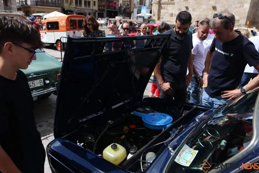 concentración internacional Citroen 2cv y clásicos _5