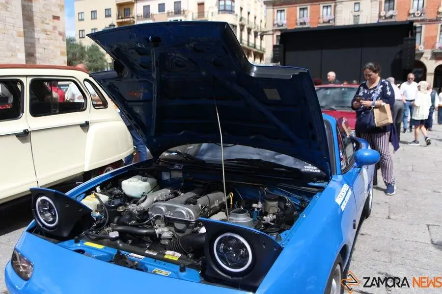 concentración internacional Citroen 2cv y clásicos _6