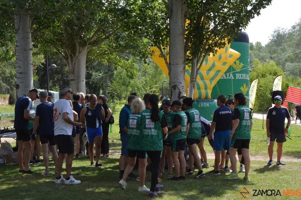 barco drag&oacute;n zamora _2