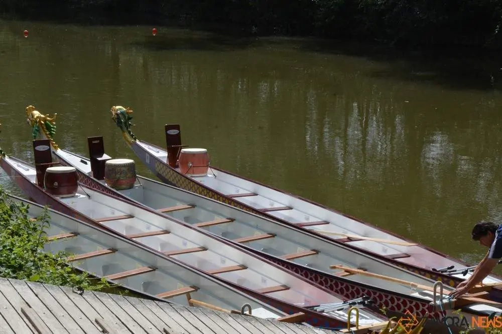 barco drag&oacute;n zamora _3