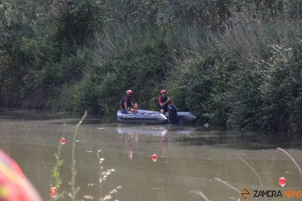 barco drag&oacute;n zamora _4