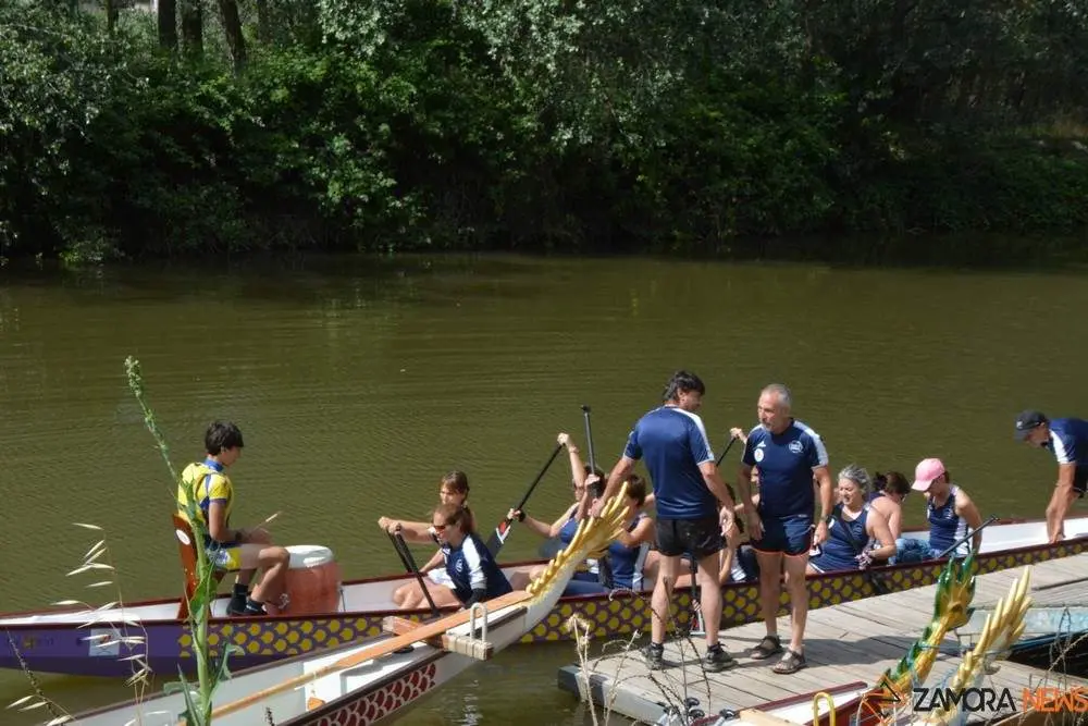 barco drag&oacute;n zamora _12