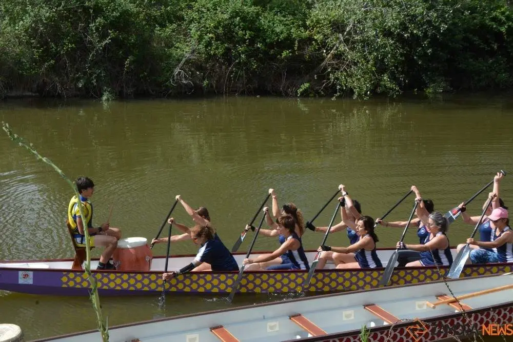 barco drag&oacute;n zamora _13