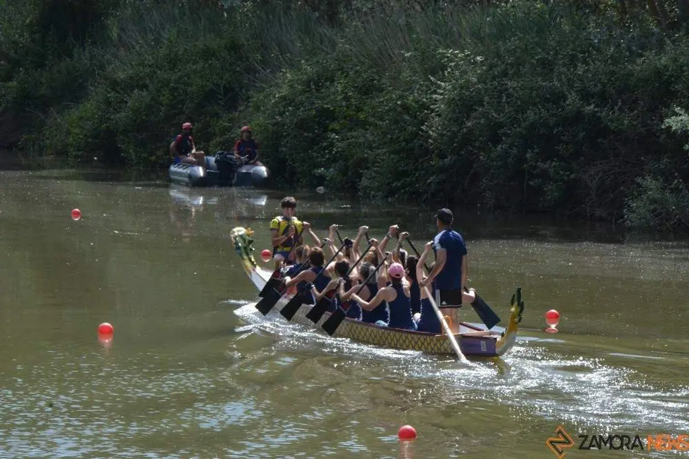barco drag&oacute;n zamora _15