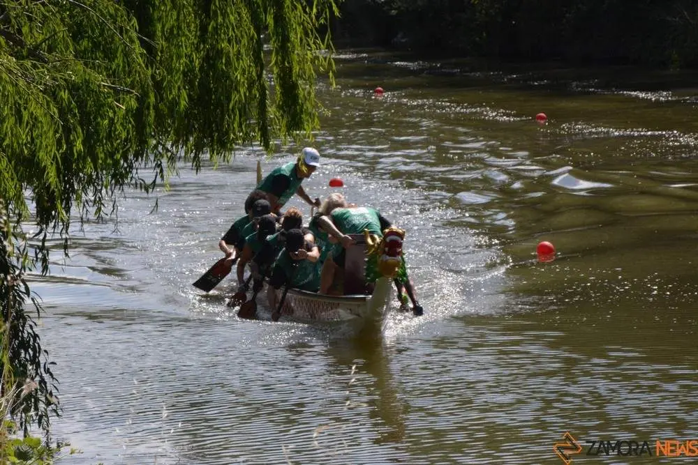 barco drag&oacute;n zamora _20