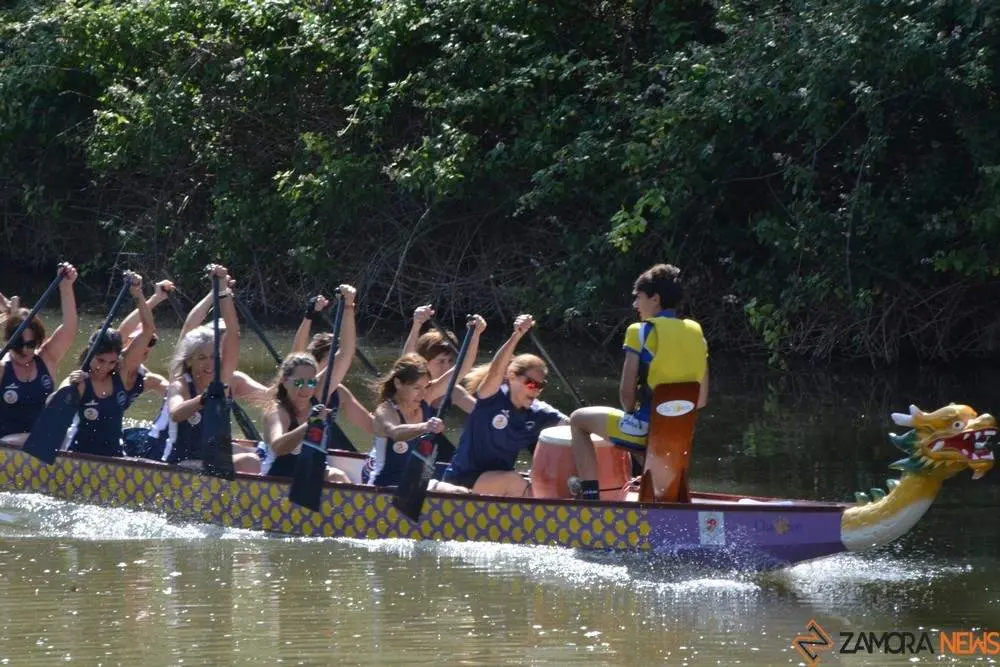 barco drag&oacute;n zamora _21