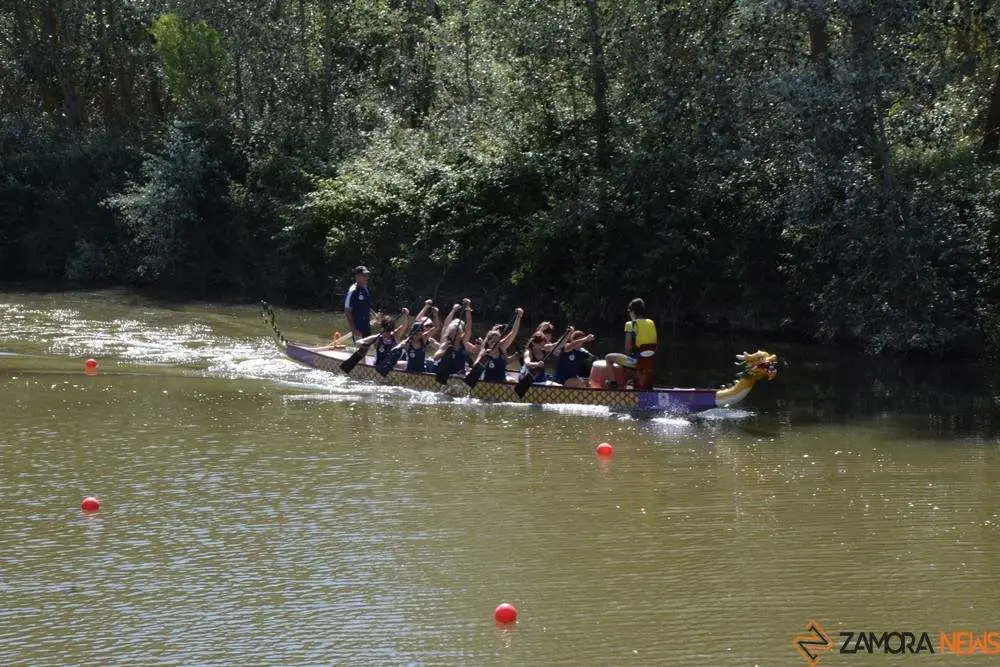 barco drag&oacute;n zamora _22