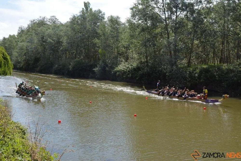 barco drag&oacute;n zamora _23