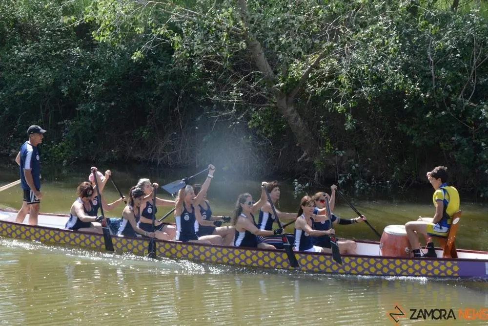 barco drag&oacute;n zamora _26