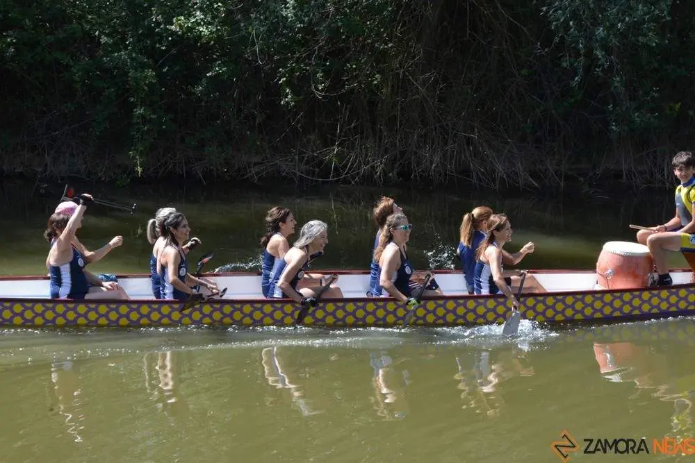 barco drag&oacute;n zamora _30