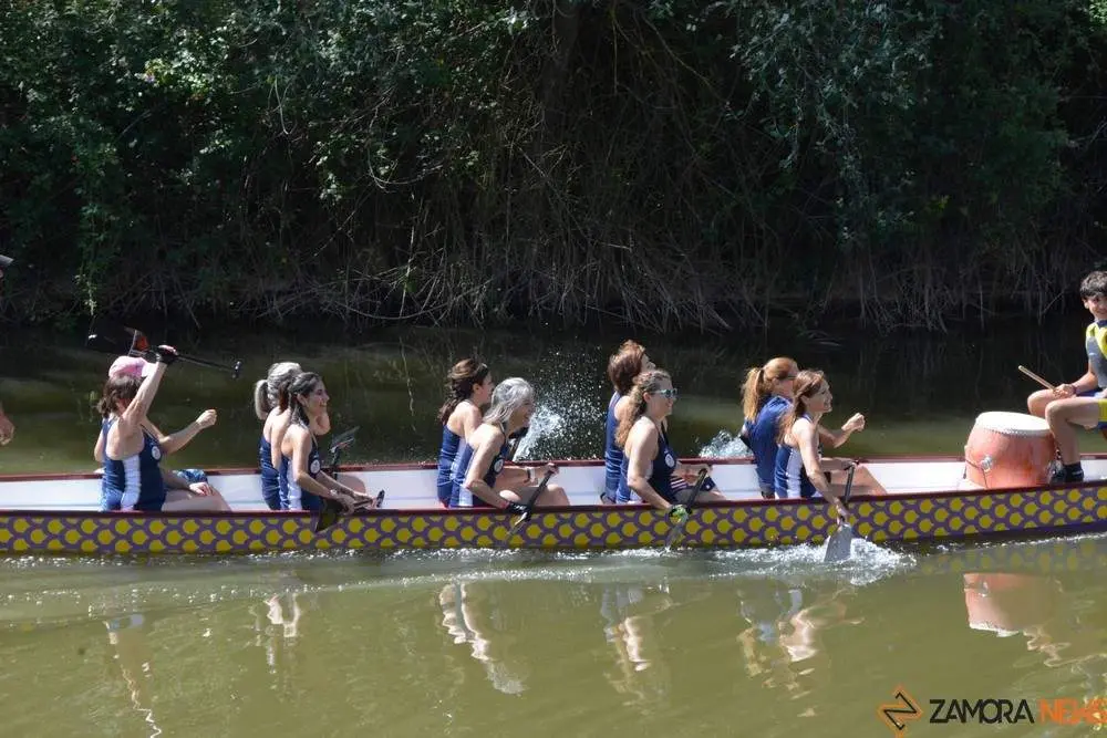 barco drag&oacute;n zamora _31