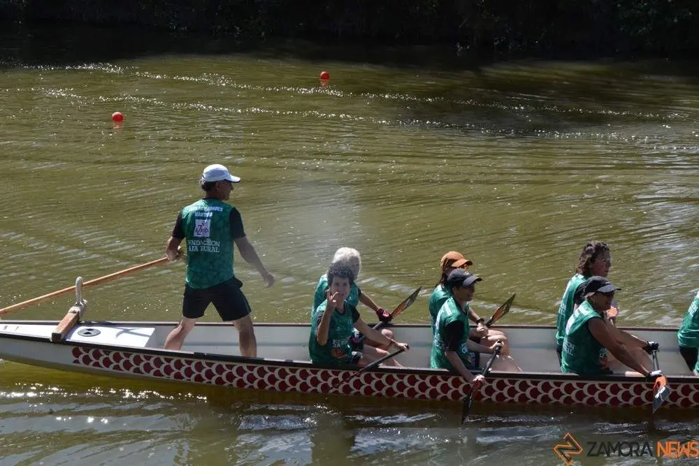 barco drag&oacute;n zamora _34