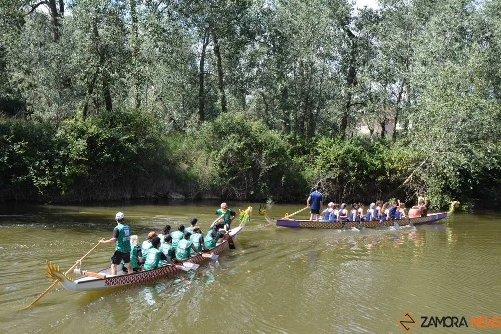 barco drag&oacute;n zamora _36