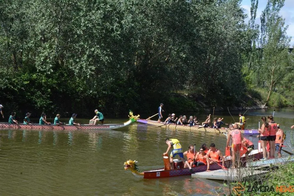barco drag&oacute;n zamora _40
