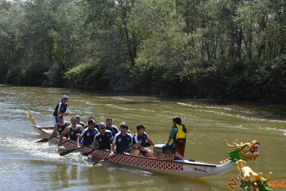 barco drag&oacute;n zamora _55