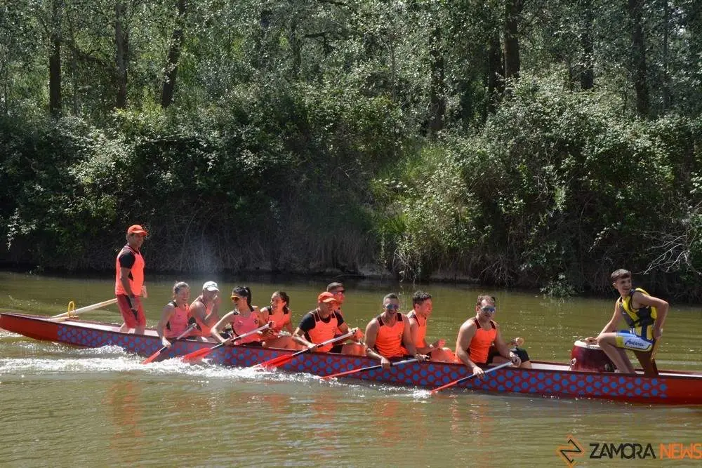 barco drag&oacute;n zamora _57