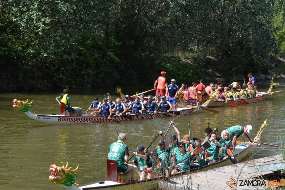 barco drag&oacute;n zamora _62