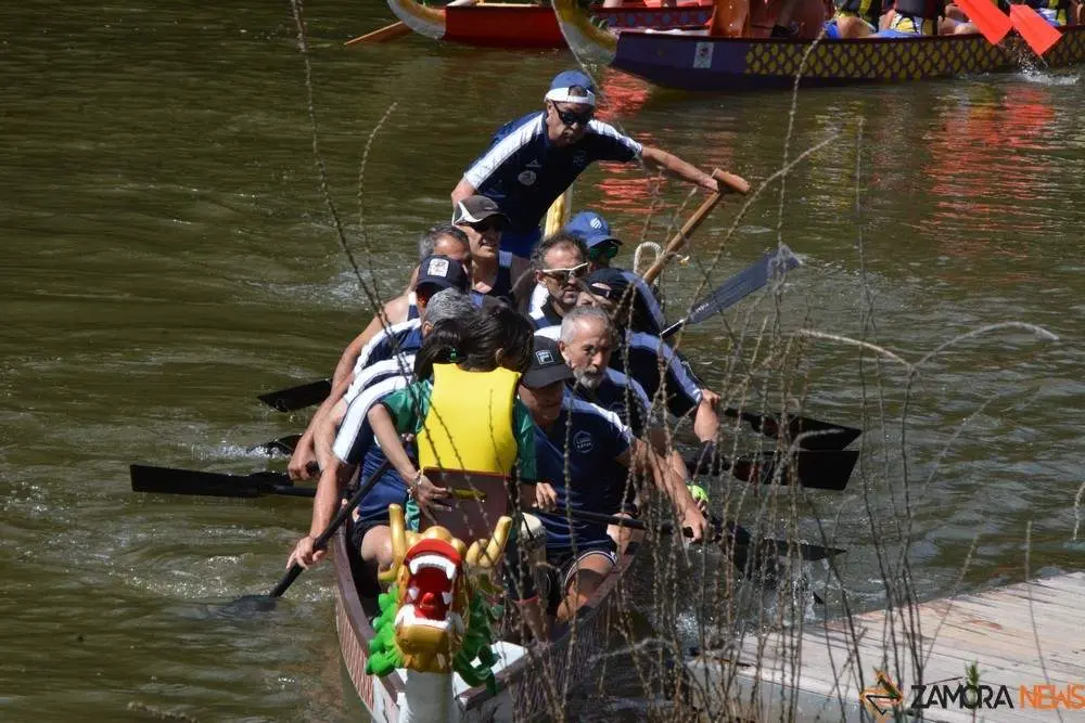 barco drag&oacute;n zamora _65