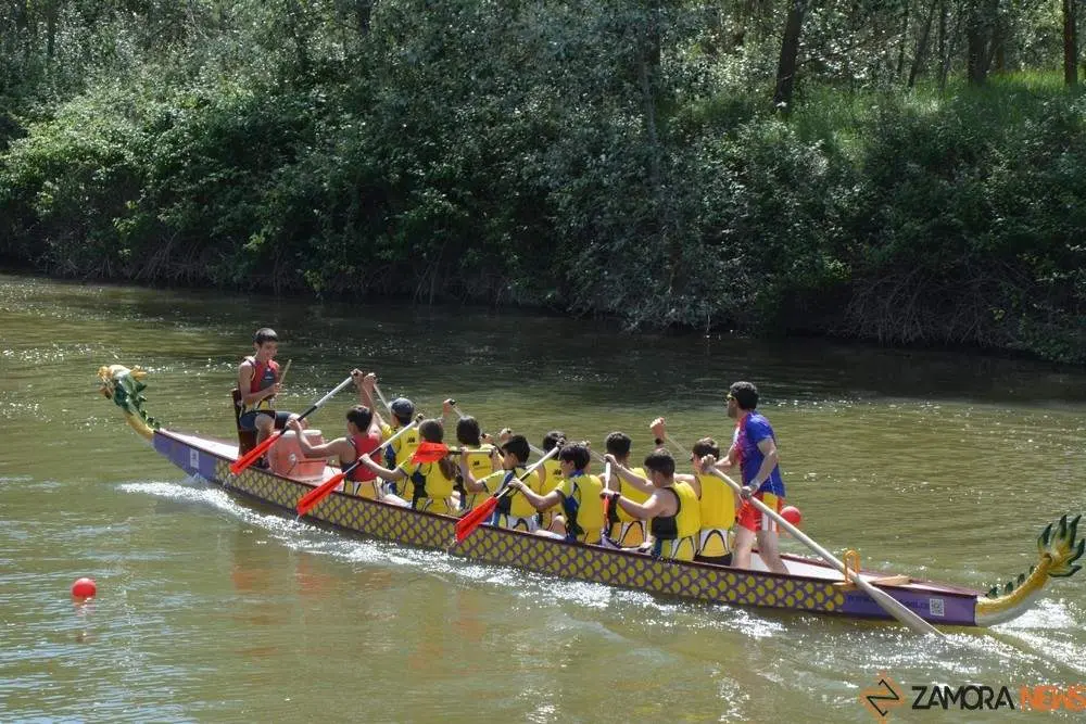 barco drag&oacute;n zamora _72
