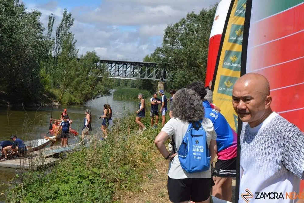 barco drag&oacute;n zamora _74