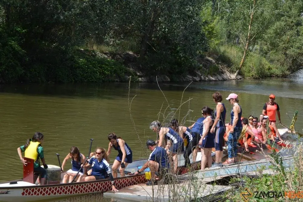barco drag&oacute;n zamora _79