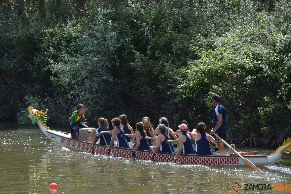 barco drag&oacute;n zamora _81