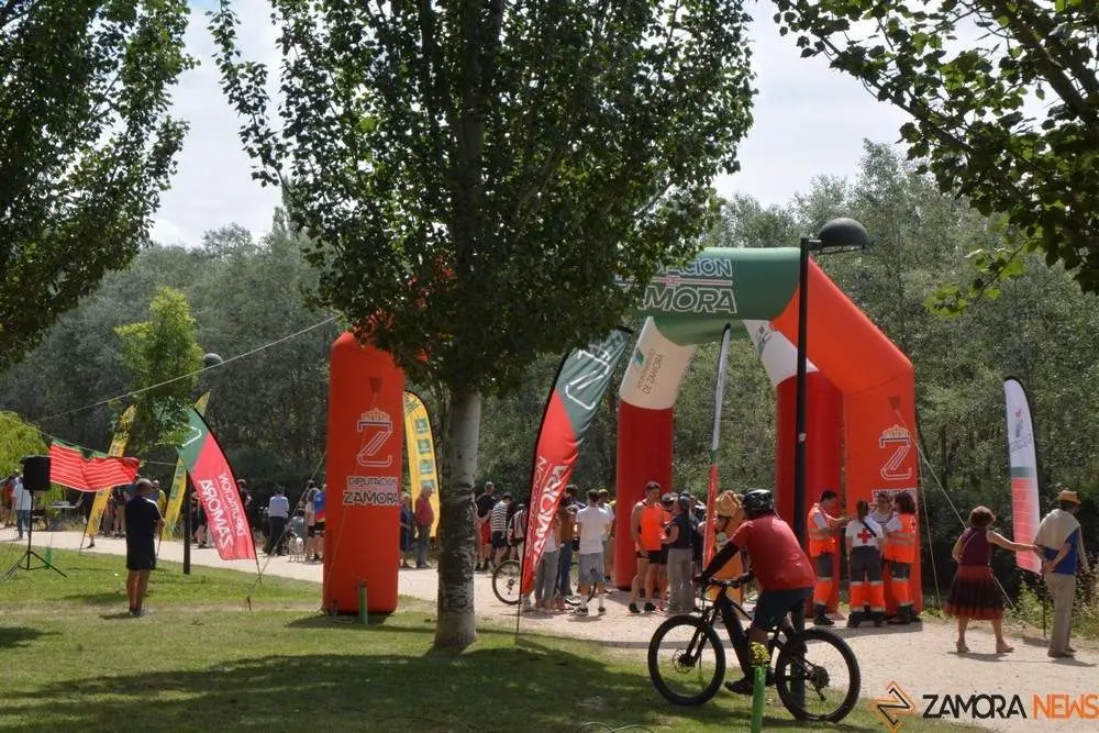 barco drag&oacute;n zamora _82