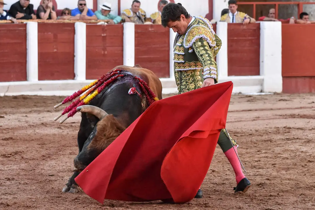 toros zamora san pedro 2024 (3)