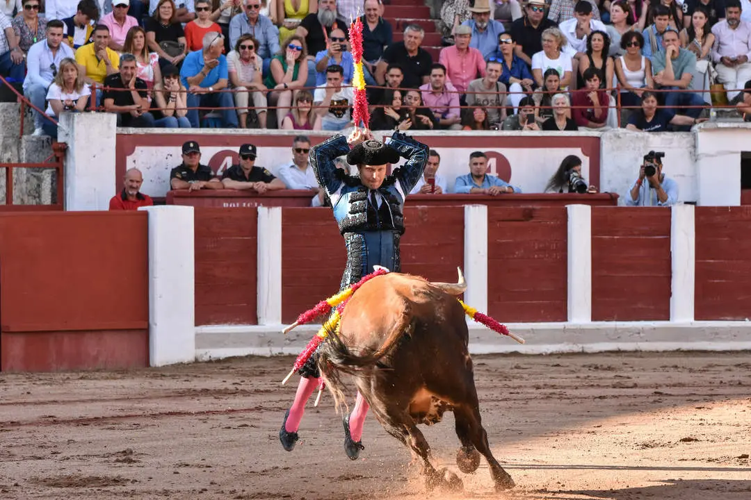 toros zamora san pedro 2024 (4)