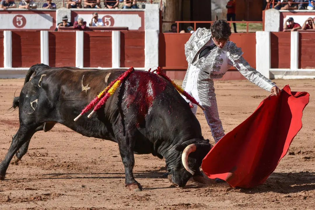 toros zamora san pedro 2024 (6)