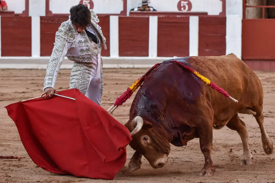 toros zamora san pedro 2024 (13)